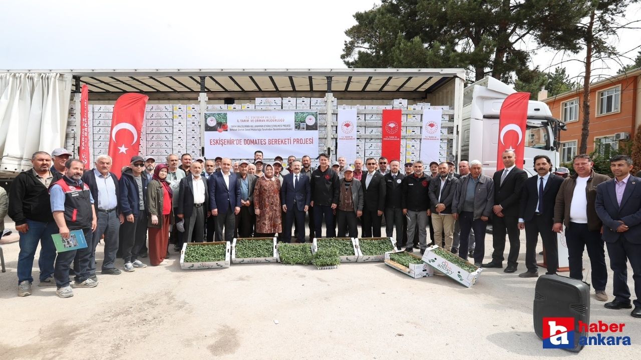 Eskişehir'de Domates Bereketi Projesi ile 370 bin domates fidesi dağıtıldı