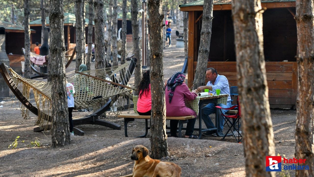 Ankara'daki Hacıkadın Kent Ormanı'na yoğun ilgi