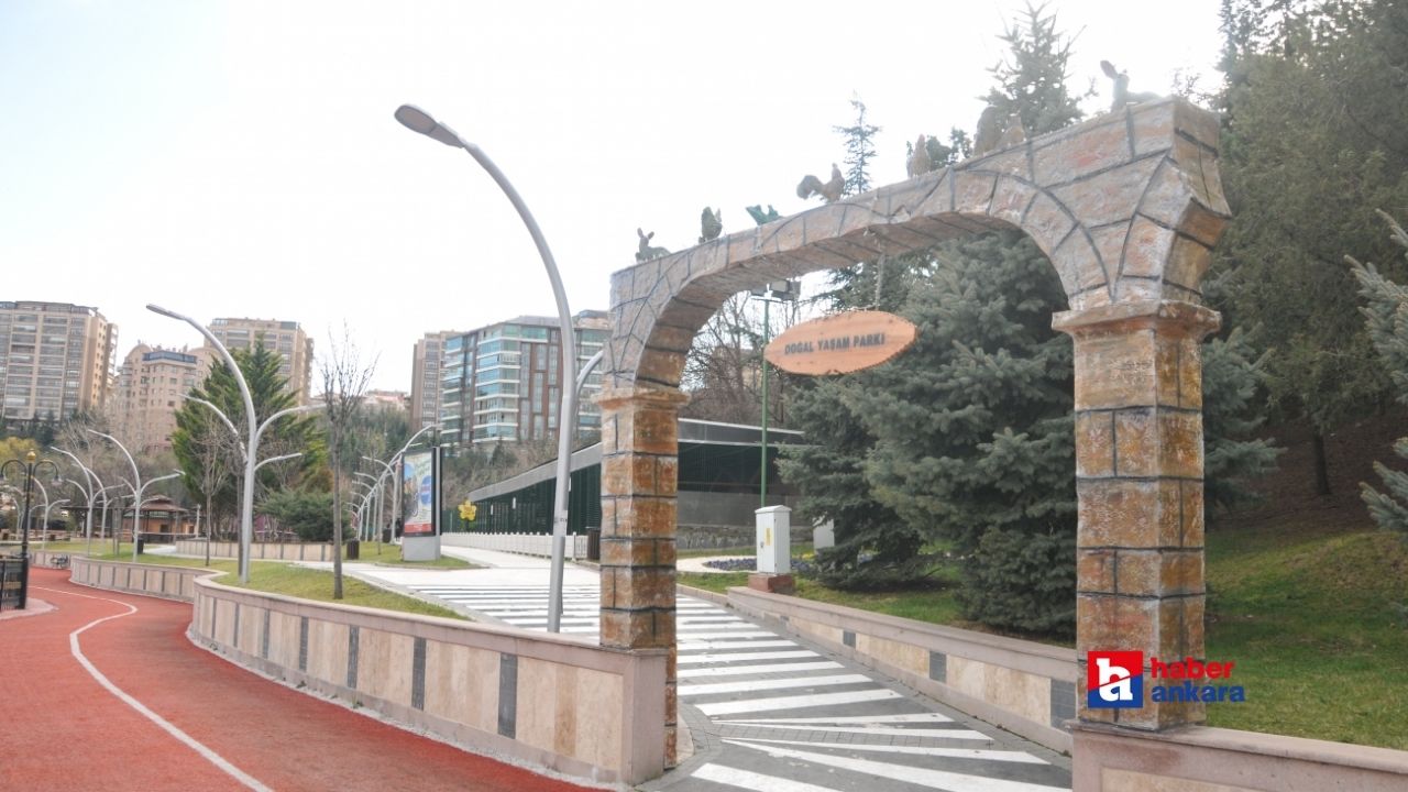 Ankara Keçiören'de şehrin ortasında Doğal Yaşam Parkı